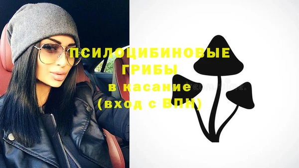 МДПВ Арсеньев