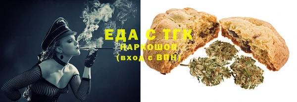 spice Богородицк