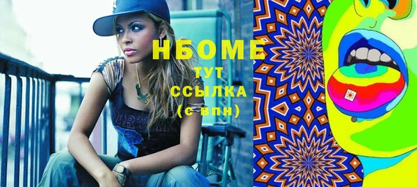 spice Богородицк