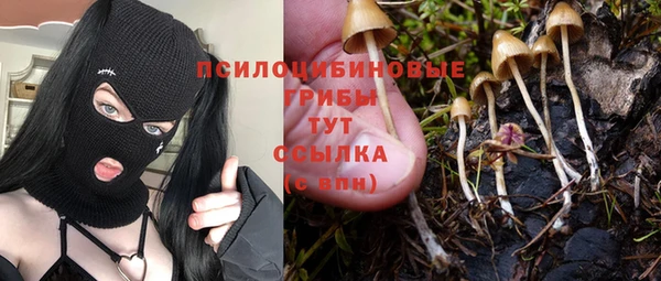 СК Аркадак