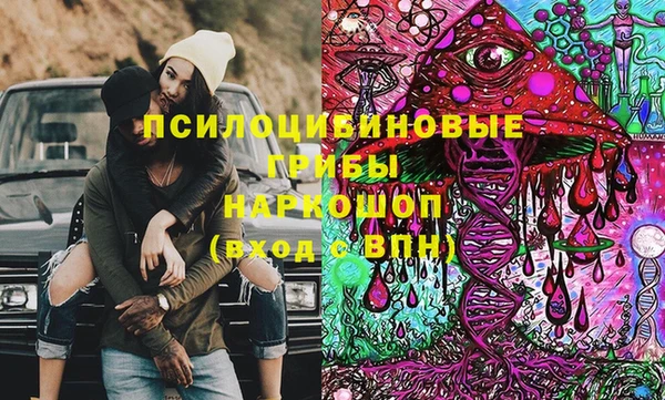 spice Богородицк
