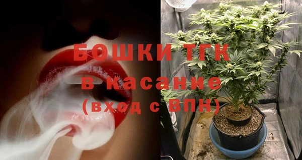 spice Богородицк