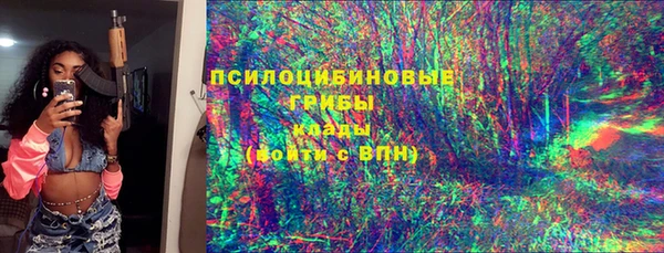СК Аркадак