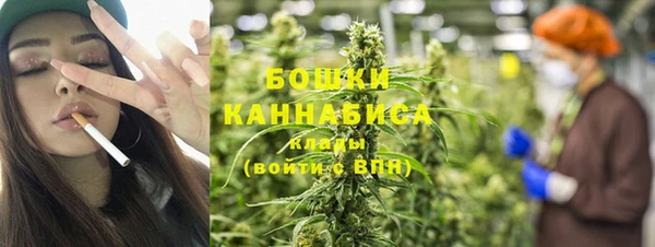 СК Аркадак