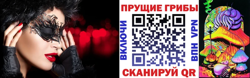 Псилоцибиновые грибы Cubensis  хочу наркоту  Голицыно 